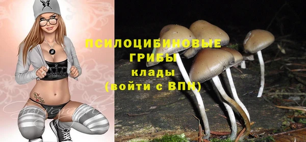 спиды Алзамай