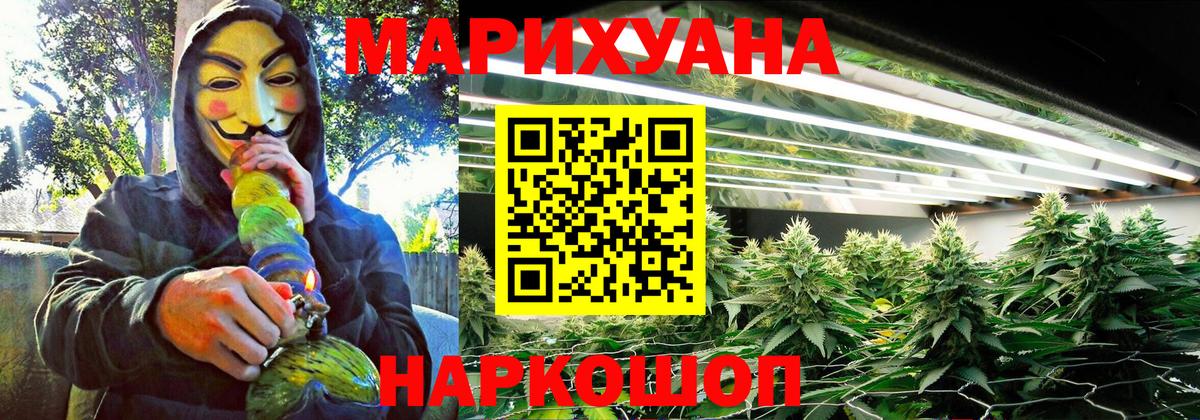 Шишки марихуана SATIVA & INDICA Магадан